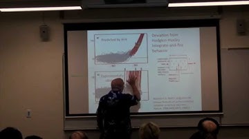 Stuart Hameroff lectures on quantum consciousness