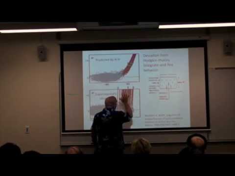 Stuart Hameroff lectures