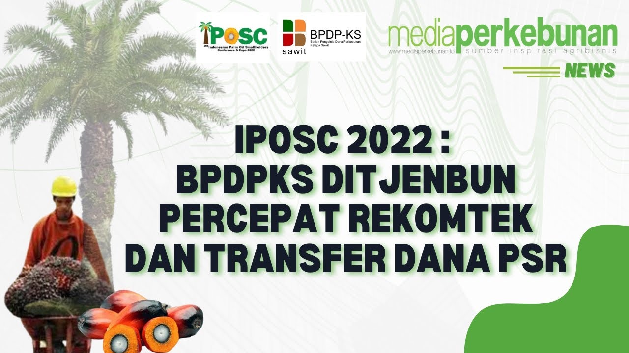 IPOSC 2022 : BPDPKS Ditjenbun percepat rekomtek dan transfer dana PSR #BPDPKS#kelapasawit#indonesia