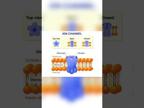 drug receptors #affinity