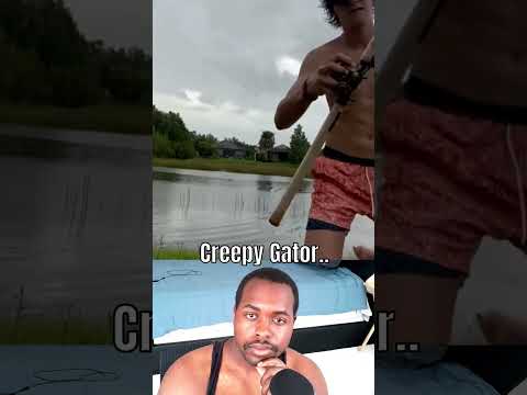 Alligator CREEPS UP Behind Florida Man 👀