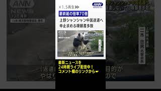 上野シャンシャン中国返還へ…中止求める嘆願書多数 #shorts