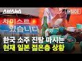 한국 오고 싶어서 호텔 빌려 랜선 여행한다는 일본인들 / [인사이드 아시아 EP. 13] 스브스뉴스