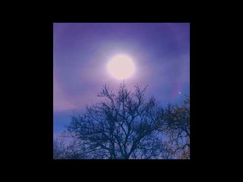 Sunbyonic - Perfect motions