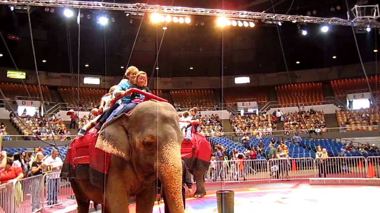 Shrine Circus Elephant Rides 5 Of 10 Youtube