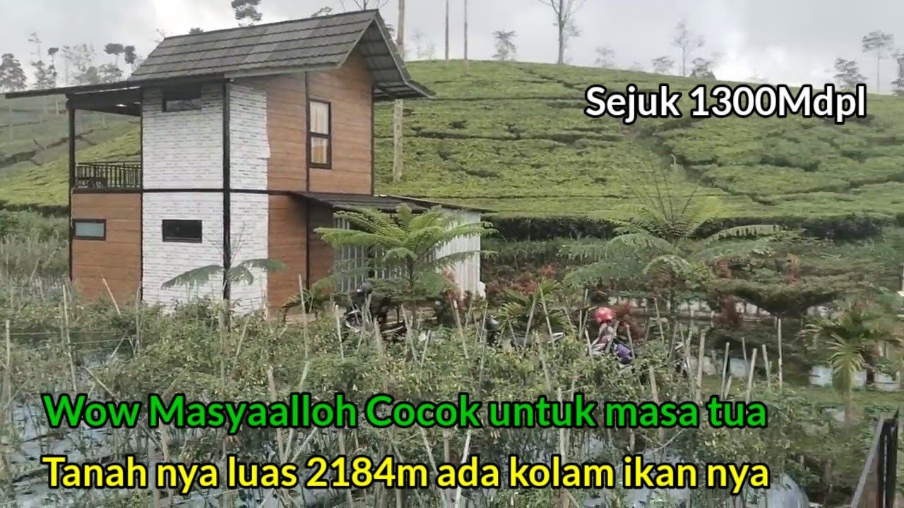 Wow Adem ayem Di jual murah Luas Tanah 2184m villa nya bagus juga sejuk mdpl 1300