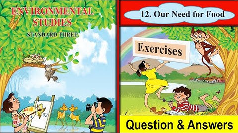 Question & Answers (12.Our Need for Food) Exercise Std.3rd EVS