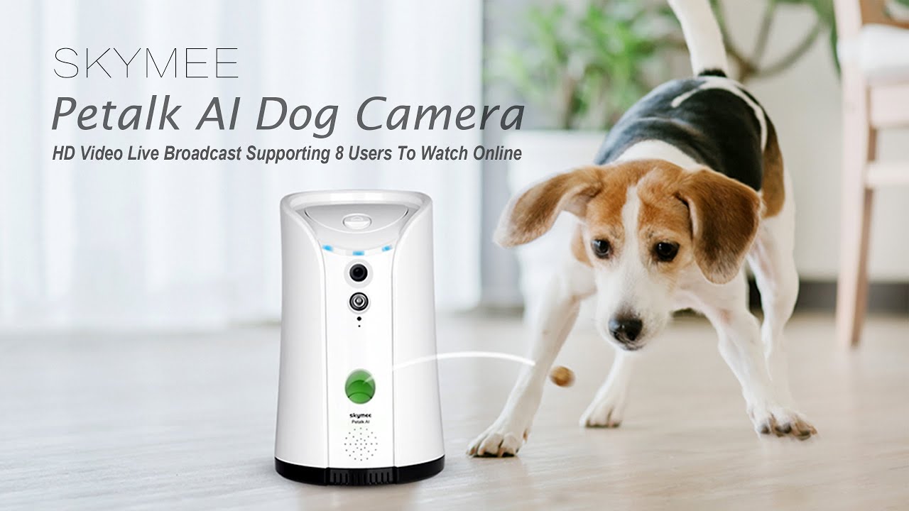 skymee dog camera treat dispenser