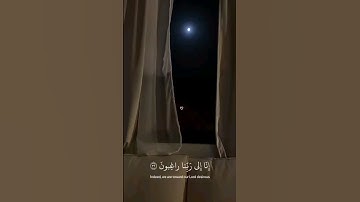 عسى ربنا أن يبدلنا خيرًا|سورة القلم_إسلام صبحي#القرآن_الكريم  #سورة_القلم #اسلام_صبحي