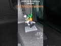 ITS SPOOKY MONTH. right?