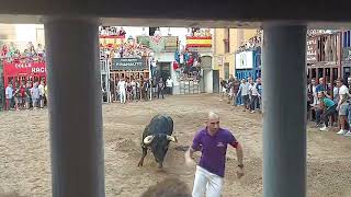 salida del segundo toro de Almazora 5/10/22