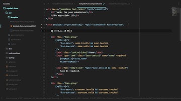 [Angular 2+ Forms and Validation] Lesson7   Overall Form Validation