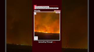#breakingnews #usanewstoday #america #youtubeshorts #trendingshorts #news #fire #usashorts #usafire