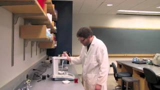 Biology Lab Tutorial-Mass Balance