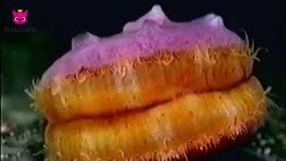 Pinkfong Presents Amazing By Hap Palmer Pinkfongs Animal Songs Sing Along