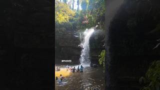 pana ke tamna heye ki hera mujhy mily jaya💎#song#lovesong#naturelovers#youtubeshorts#hindisong