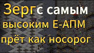 БЕСЯТ МУТАЛИСКИ? Валькирии помогут. Зерг играет как компьютер в StarCraft Remastered