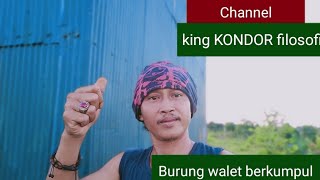 Sore Potong Jalur Walet Pulang,Pagi Datang Ngumpul Burung Waletnya