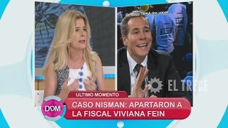 Caso Nisman Apartaron A La Fiscal Fein De La Causa