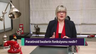 Paratiroid bezlerin fonksiyonu nedir