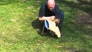 Bijten Andor .MOV