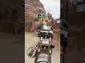 【イントネーション】Osbf「カ↑レェ ↓にバ↑ナナ↓」って何? Apex Legends #Shorts