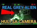 Capturing a real grey alien creatures  tagalog