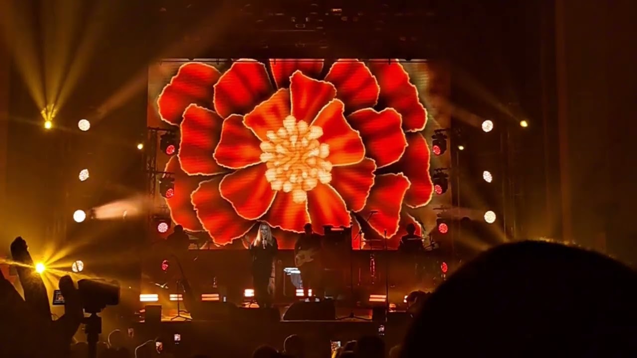 Квітка-душа - Тоня Матвієнко | Запоріжжя 18.02.2026 | musicq_ukraine