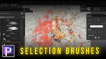 Selection Brushes - Painter 2023 Tutorial
