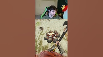 Talk about fragile… | Chaos Mod In The Forest | Twitch: ChunksterChunkus