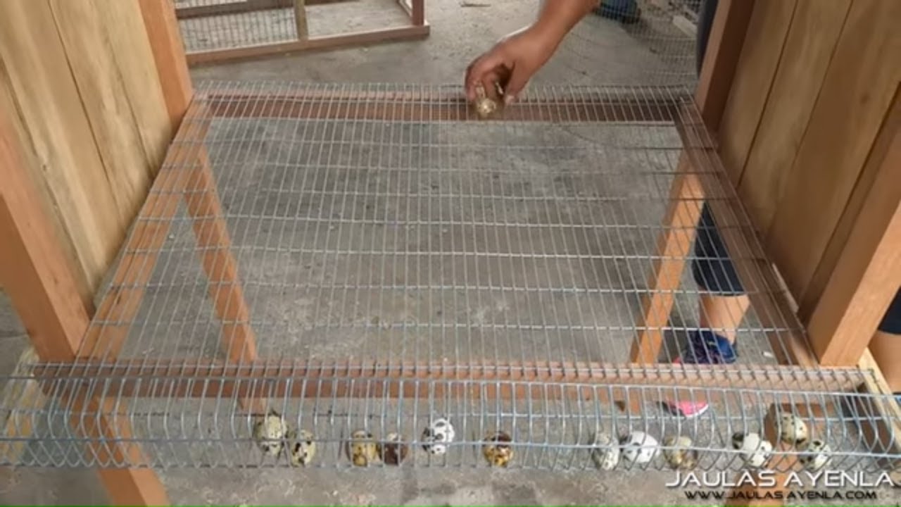Ptillos Multiusos Para Jaula De Animal, Rorte De Bloqueo