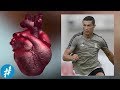 7 Fakta CRISTIANO RONALDO (CR7) Yang Banyak Orang Gak Tahu