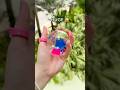 RESULTS - I Made a NANO TAPE BUBBLE with GIANT Star Orbeez! 😱😳⭐️🫧