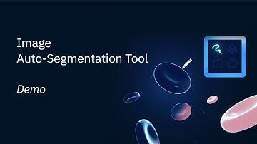 Image auto-segmentation tool - Demo Walkthrough