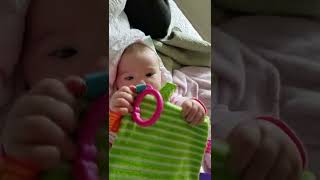 20190202 124114 Romey 4 1/2 months making noice with puppies Sunshine 5, Darci & Pebbles almost 2