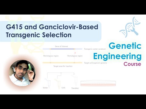 Video: Sen-begyndende Thymidinkinase 2-mangel: En Gennemgang Af 18 Tilfælde