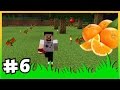 Meyve Bahçesi  - Modlu Survival - ÇiftçiCraft Minecraft Türkçe  - Bölüm 6