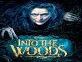 Into the Woods 1-Disc BD + Digital HD [Blu-ray]