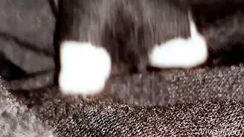 🚫LPS: Not On Drugs MV🚫