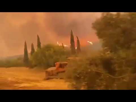 Φωτιά Εύβοια: Εικόνες βιβλικής καταστροφής