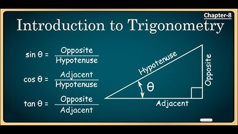 Mathematics|Class 10|T.S and A.P ssc board|Trigonometry |Exercise 11.1|By Anjum Hassan