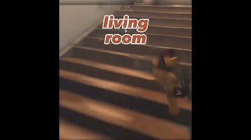 Salty vs two riot shields call of duty when shields attack