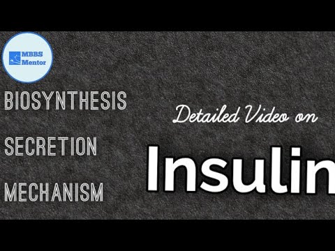 ಇನ್ಸುಲಿನ್ : ರಚನೆ, ಜೈವಿಕ ಸಂಶ್ಲೇಷಣೆ, ಸ್ರವಿಸುವಿಕೆ ಮತ್ತು ಕ್ರಿಯೆಯ ಕಾರ್ಯವಿಧಾನ | ಜೀವರಸಾಯನಶಾಸ್ತ್ರ | ಎಂಬಿಬಿಎಸ್ ಮಾರ್ಗದರ್ಶಕ
