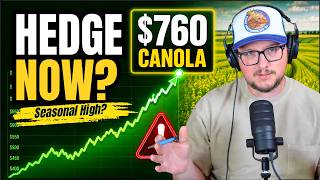 Should Farmers Hedge Canola at $760?