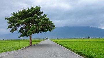 تحميل 蔡佳麟犹原爱着你ktv Mp4 Mp3