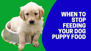 When To Stop Feeding Your Dog Puppy Food