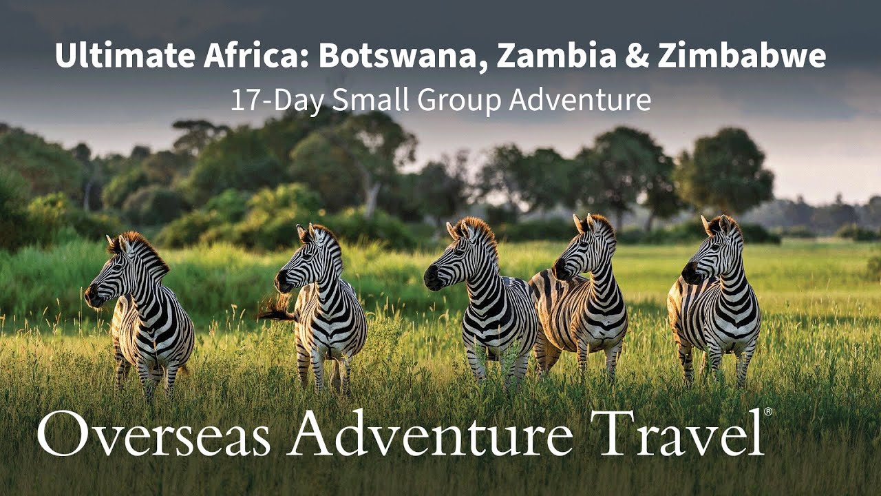 Ultimate Africa: Botswana, Zambia & Zimbabwe Safari | Overseas Adventure Travel