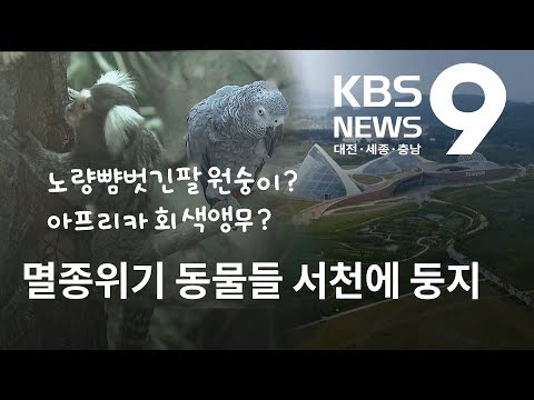 국제 멸종위기 동물 보호시설 서천에 둥지 / KBS뉴스(NEWS)