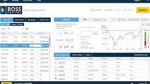 Boss Capital   Trading Signals for binary options  The winning strategy is 100%