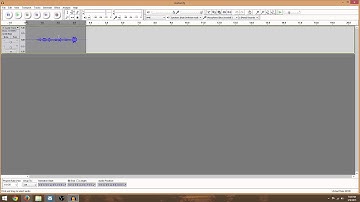 Reversing Sound in Audacity